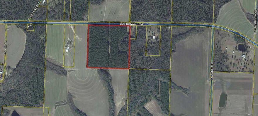 Great location away from it all. Timber thinned in 2019. Plenty of planted pines remaining. 1300' of paved highway frontage. Nice and level with no apparent wetlands.  Buyer to verify all through own due diligence.