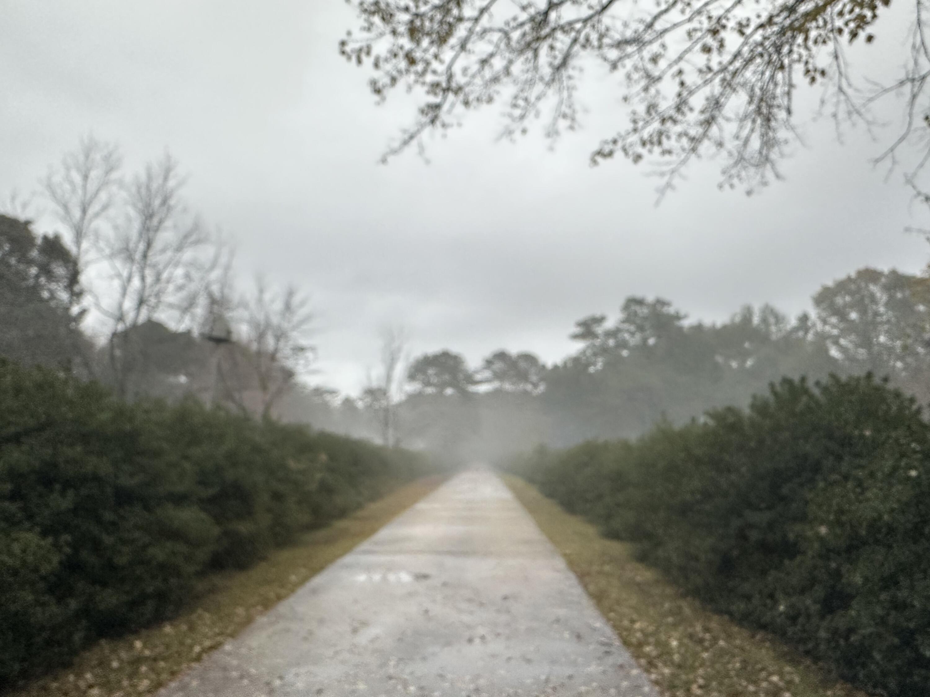 CRESTVIEW SUBURB (231000.00) - Residential