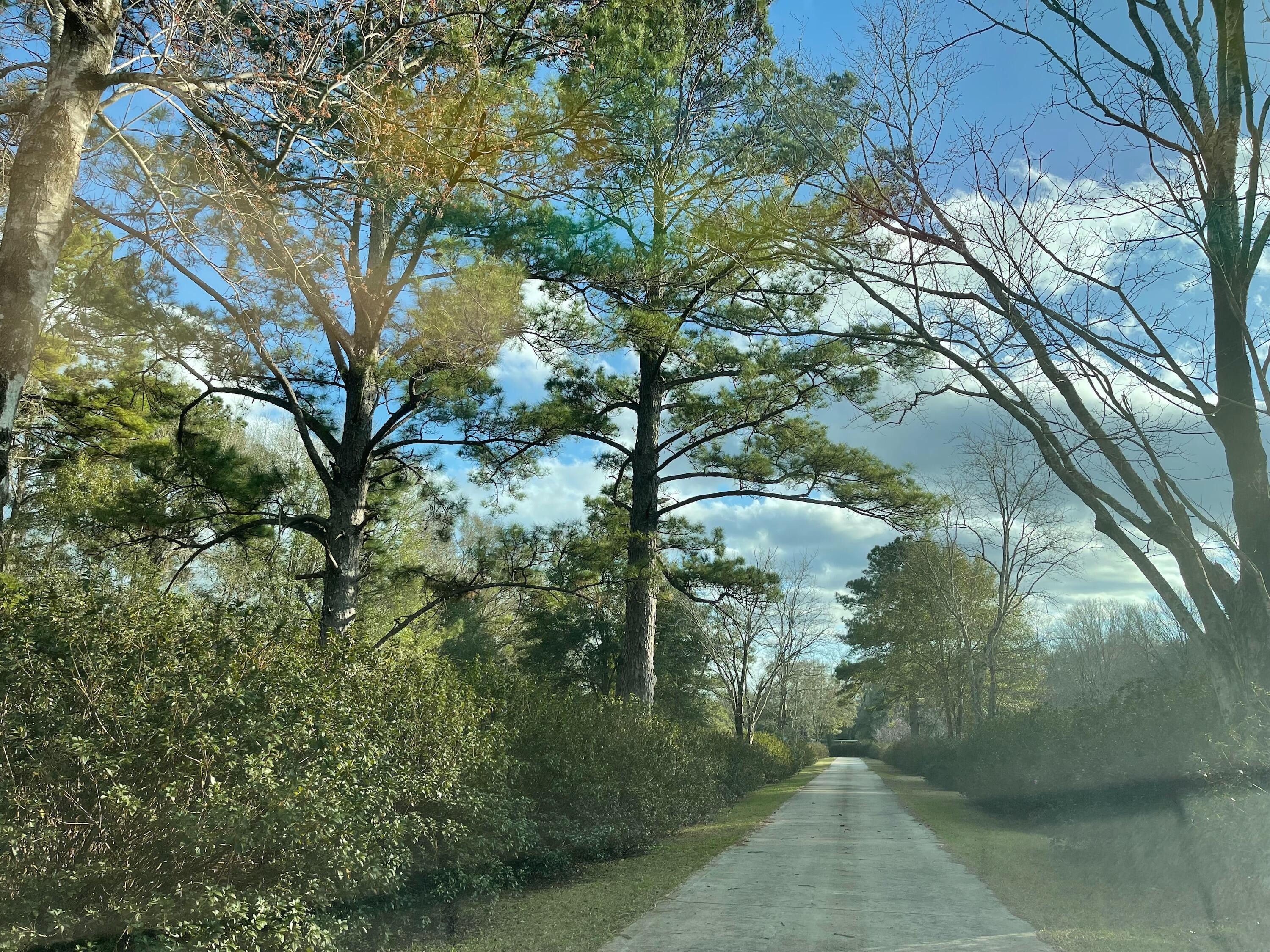 CRESTVIEW SUBURB (231000.00) - Residential