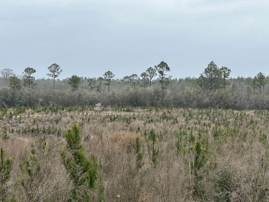Dream Location for  Hunters Paradise either way you won't want to miss this opportunity! This Beautiful  39 +/- Acres of prime land has so much to offer.  Bring your  hunting gear, Horses, and ATVS LOCATION LOCATION!!!! This Property has Easy Access to Panama City Beaches I-10, Hwy 79, Hwy 81, and Hwy 90.Additional 159 next door available