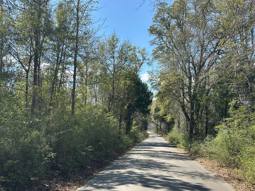 Dream Location for  Hunters Paradise either way you won't want to miss this opportunity! This Beautiful  39 +/- Acres of prime land has so much to offer.  Bring your  hunting gear, Horses, and ATVS LOCATION LOCATION!!!! This Property has Easy Access to Panama City Beaches I-10, Hwy 79, Hwy 81, and Hwy 90.
