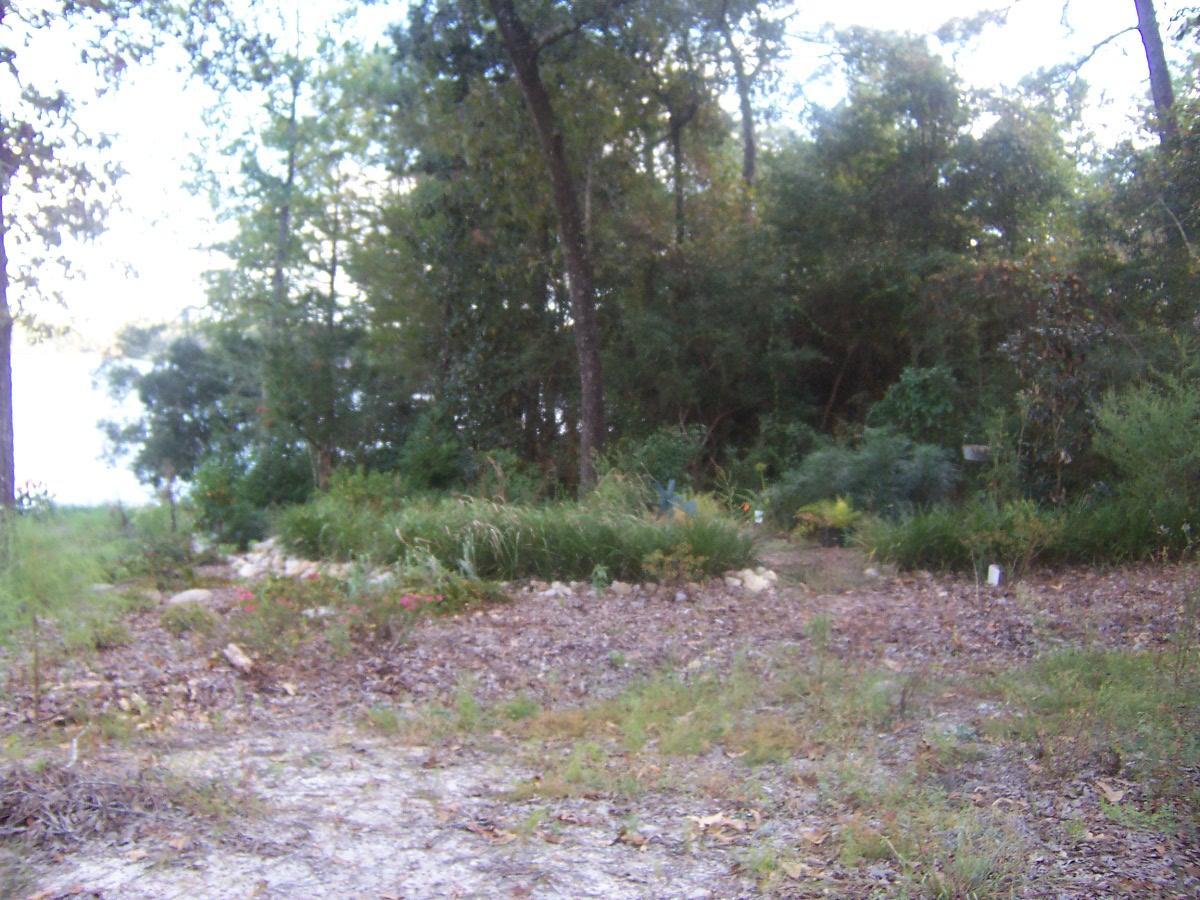 SPRING LAKE ESTATES - Residential