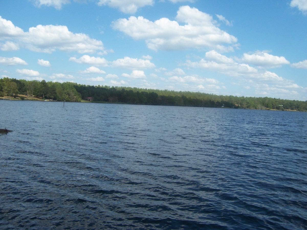 SPRING LAKE ESTATES - Residential