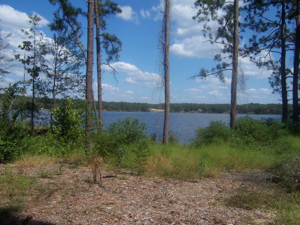 SPRING LAKE ESTATES - Residential