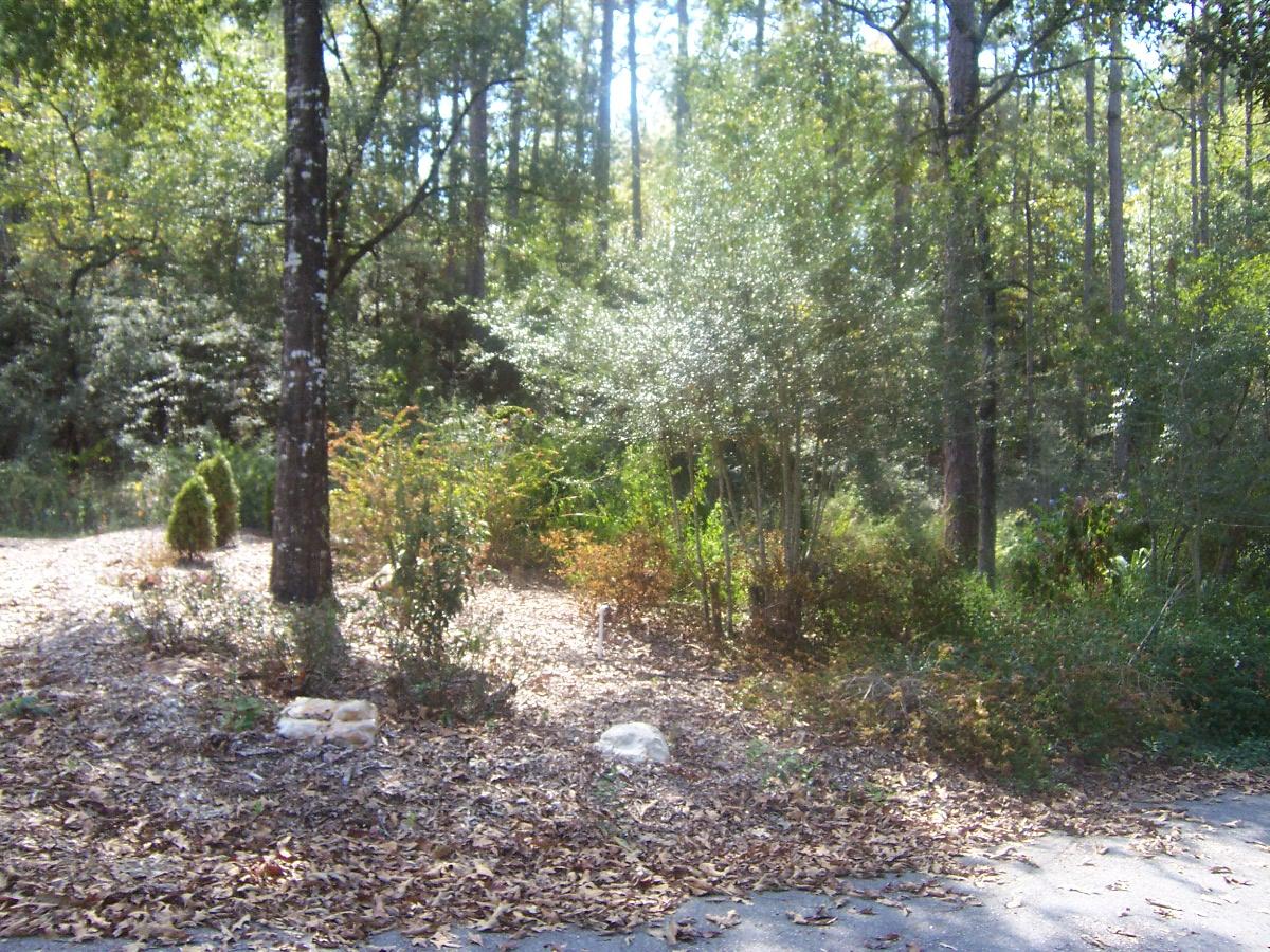 SPRING LAKE ESTATES - Residential