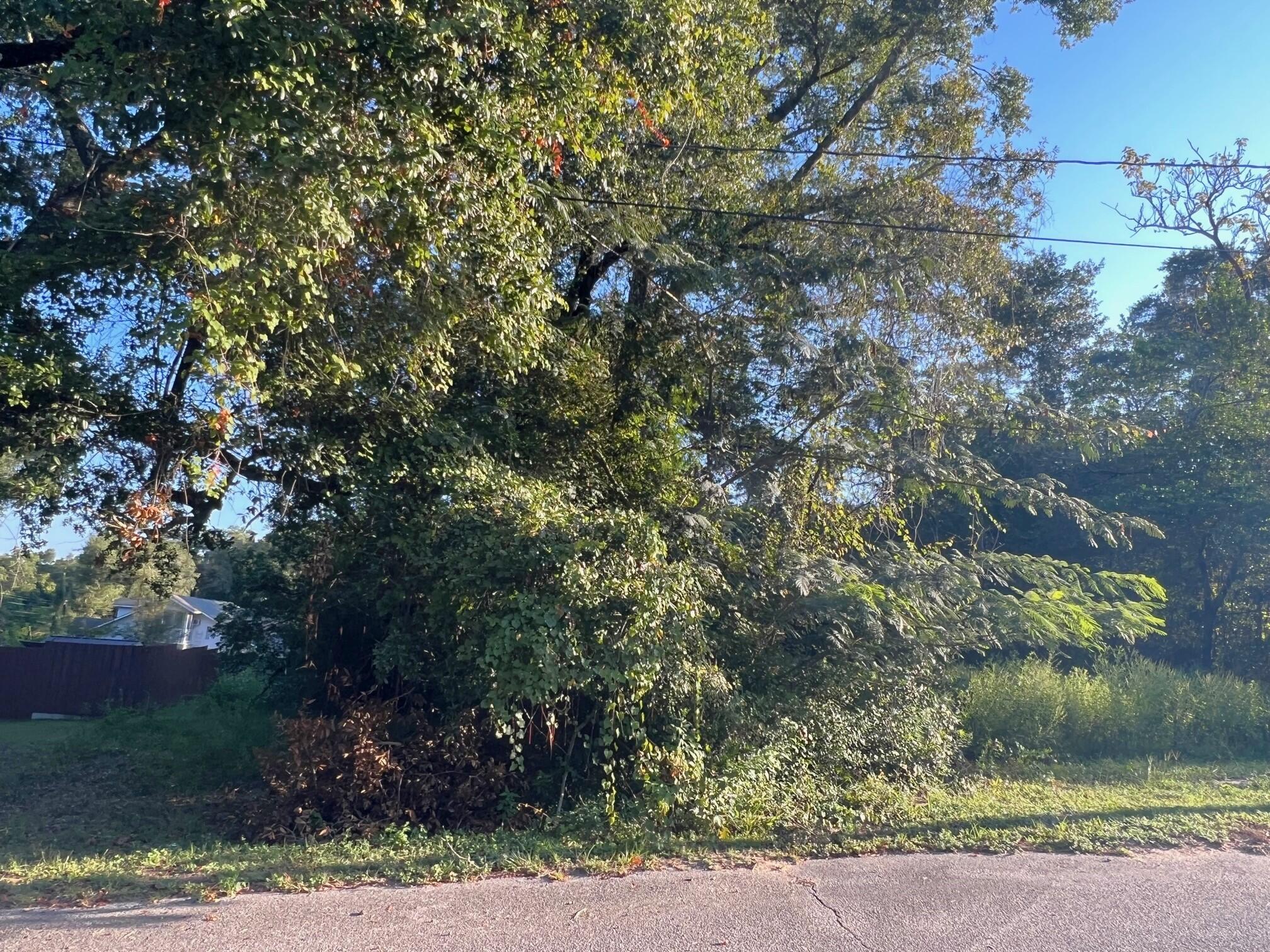 TOWN OF DEFUNIAK SPRINGS - Land