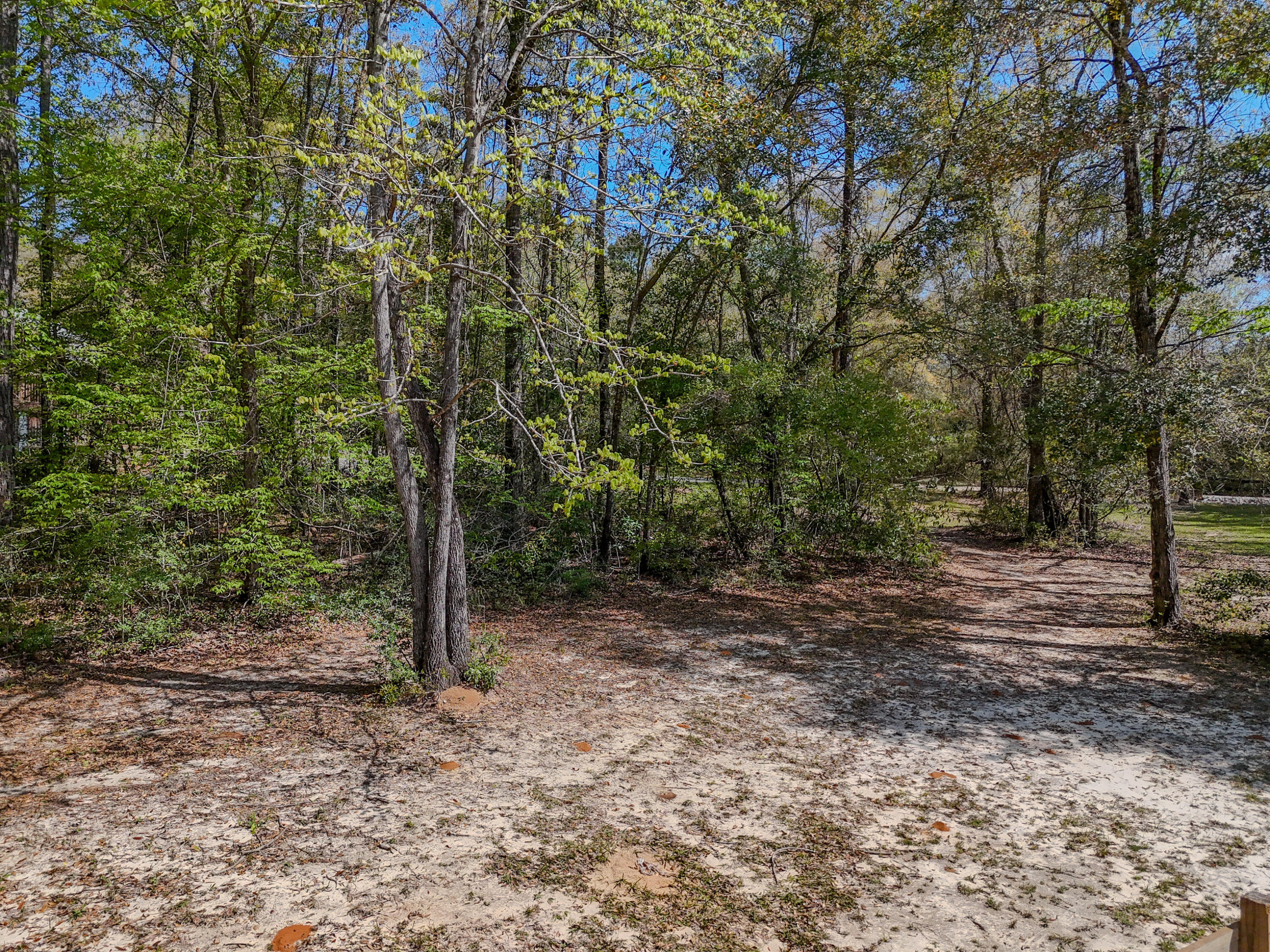 NONESUCH WAY - Residential