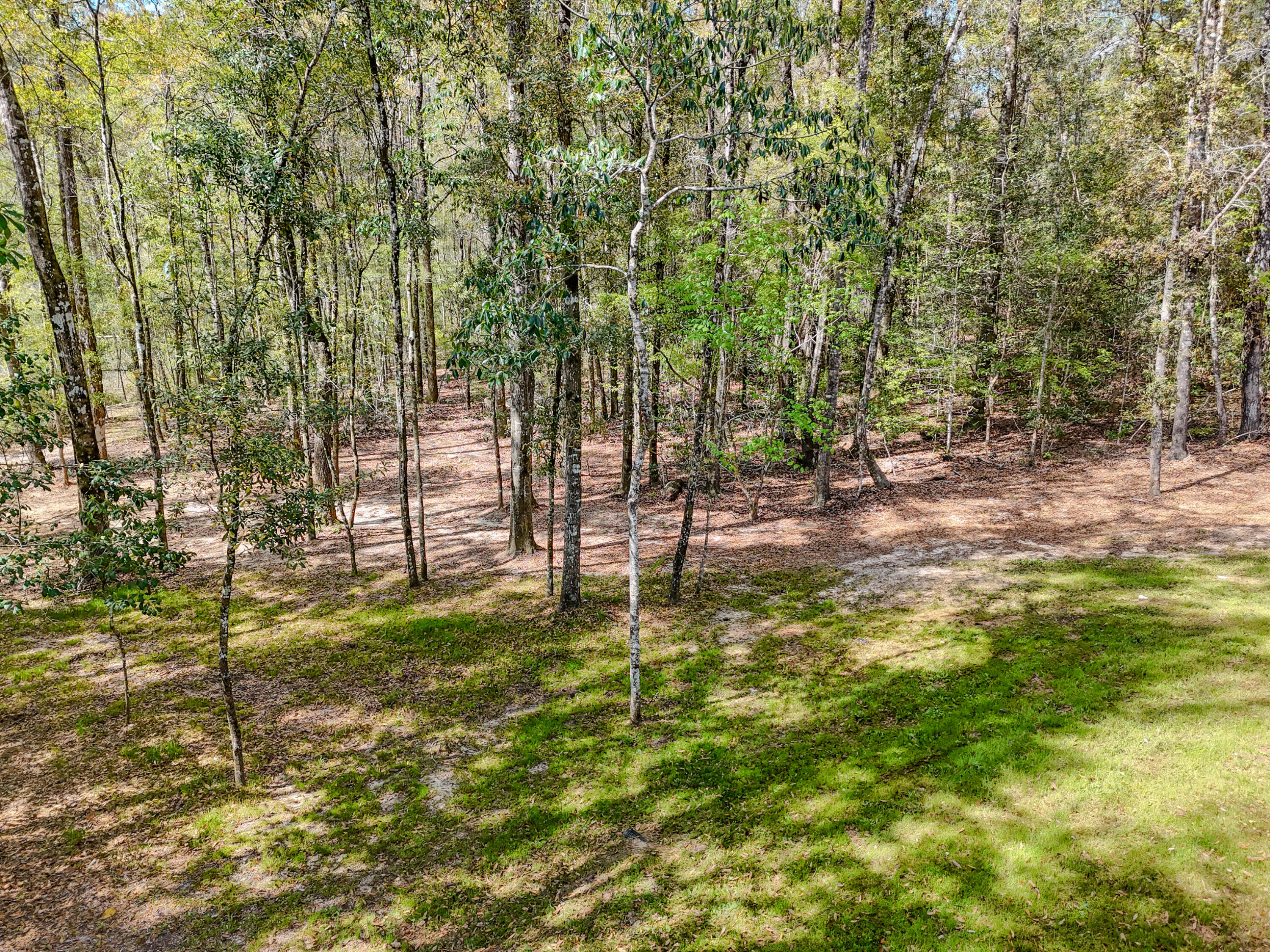 NONESUCH WAY - Residential