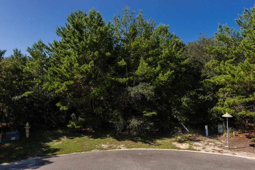 BEST PRICED LOT EAST OF 395 Sugarwood lot in Seagrove with possible Gulf Views. Wooded lot at the end of a quiet cul-de-sac in Sugarwood Subdivision. Prime location for a beach home in desirable Seagrove located east of Hwy 395, just outside of Old Seagrove near Whiskey Bravo. Just think of a location within 4 lots to the beach. Get your gulf view today and build your family beach house here on this sizable lot, where you'll have room for a private pool and can build 3 stories to capture that view. Low annual HOA dues & paid tap fee. Beach access located at S. Greenwood Ave. or Gardenia St. Enjoy this location within a minute to the bike path or beach; breakfast or lunch at Cowgirl & dinner at Whiskey Bravo.