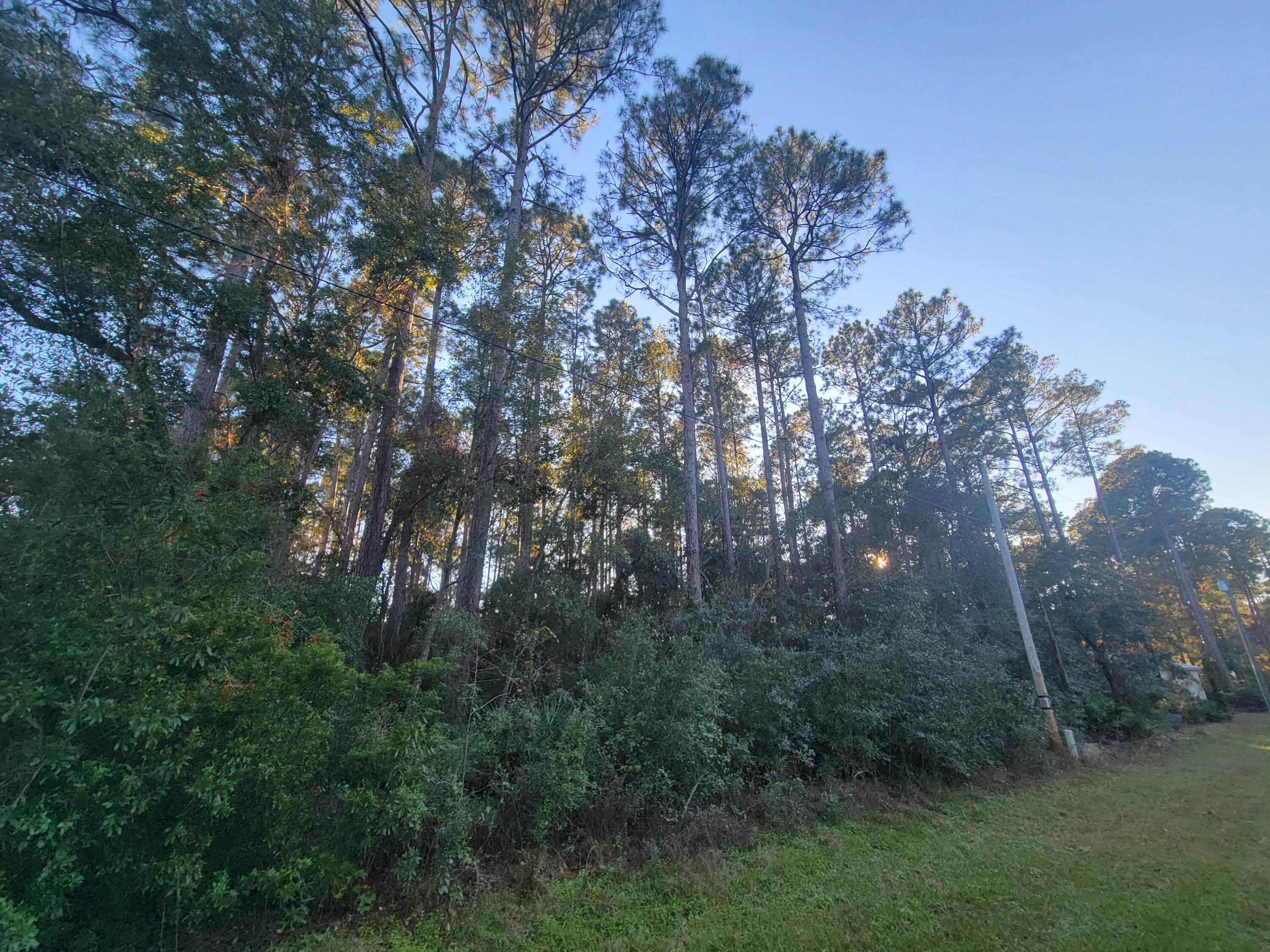 Mallet Bayou Lot 51 , unrecorded plat - Land