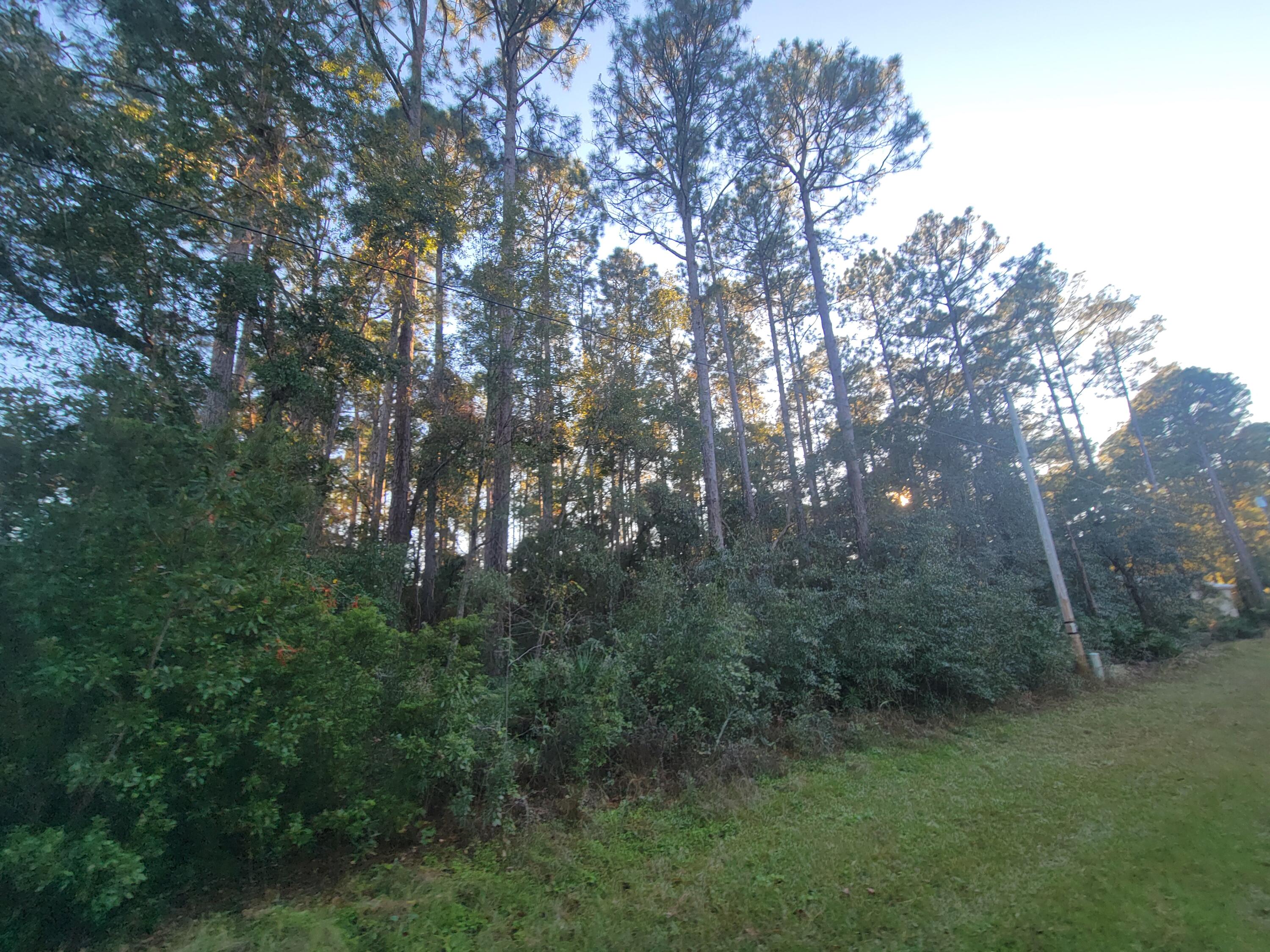 Beautiful waterfront building lot atChoctawhatchee Bay in Freeport.  Just minutes to the beach and shopping.  Water available, tap fee not paid.  Approximately 88 foot on the water. All measurements are subject to an up-to-date survey.   Price to sale!