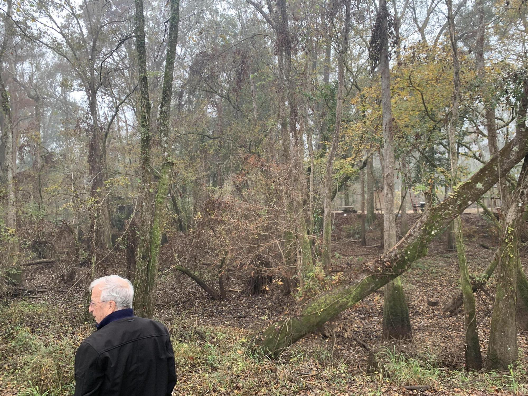 Howells Bluff Subdivision - Land