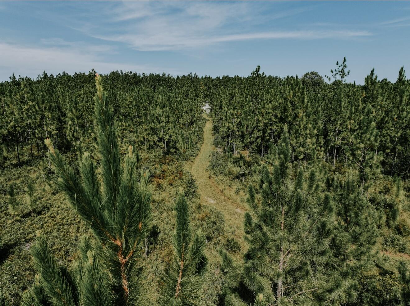 Meets & Bounds - Residential