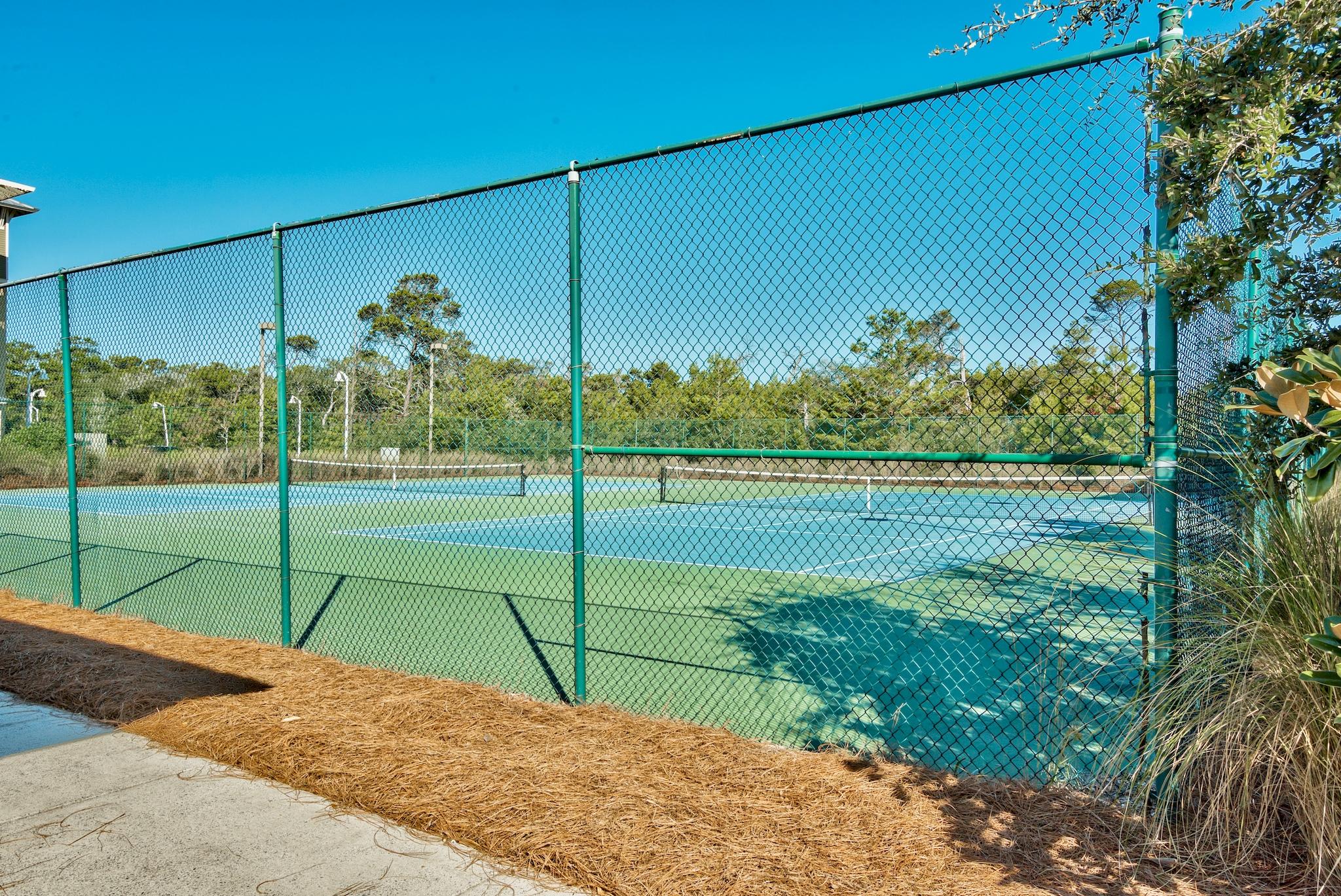 THE PRESERVE AT GRAYTON BEACH - Residential