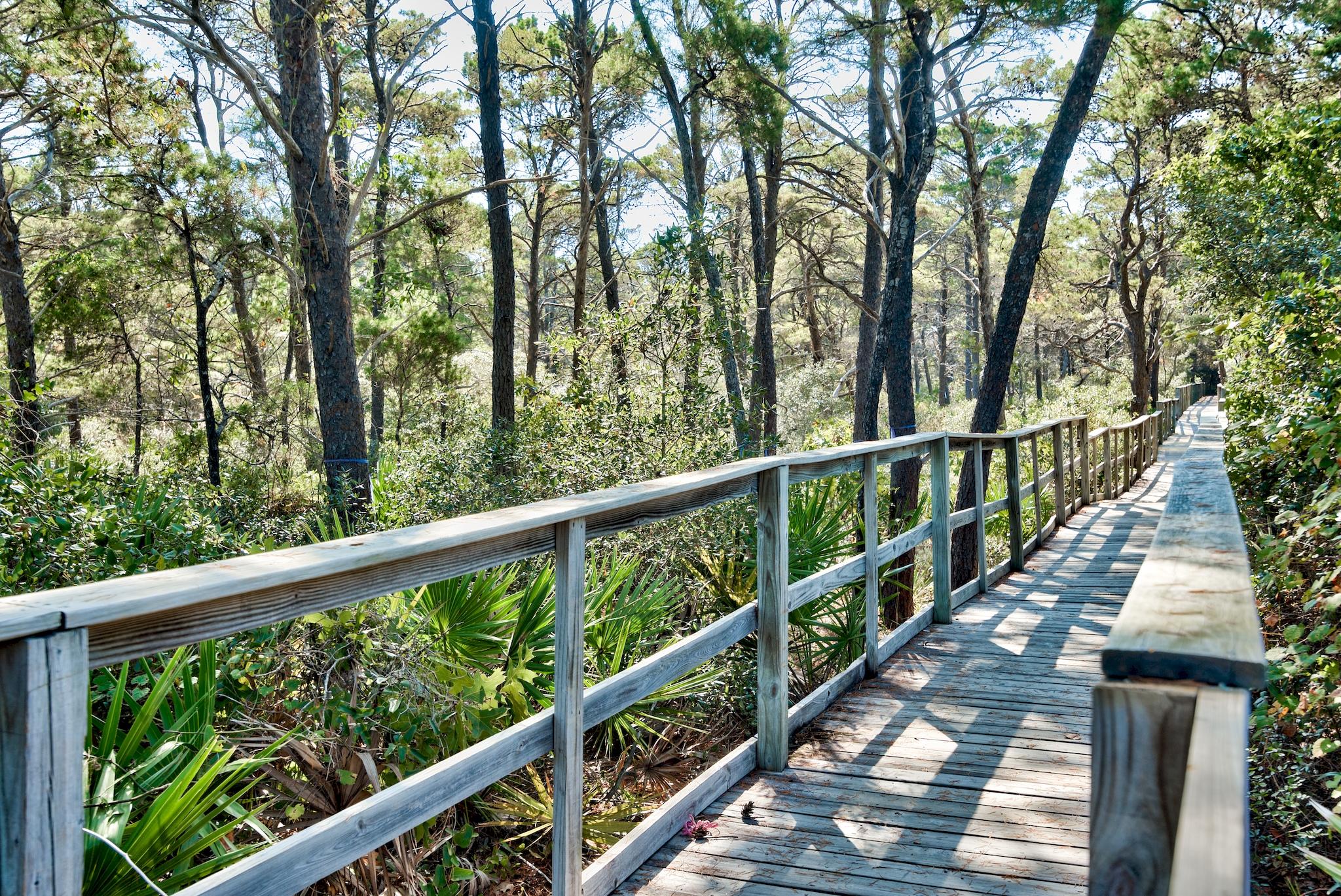 THE PRESERVE AT GRAYTON BEACH - Residential