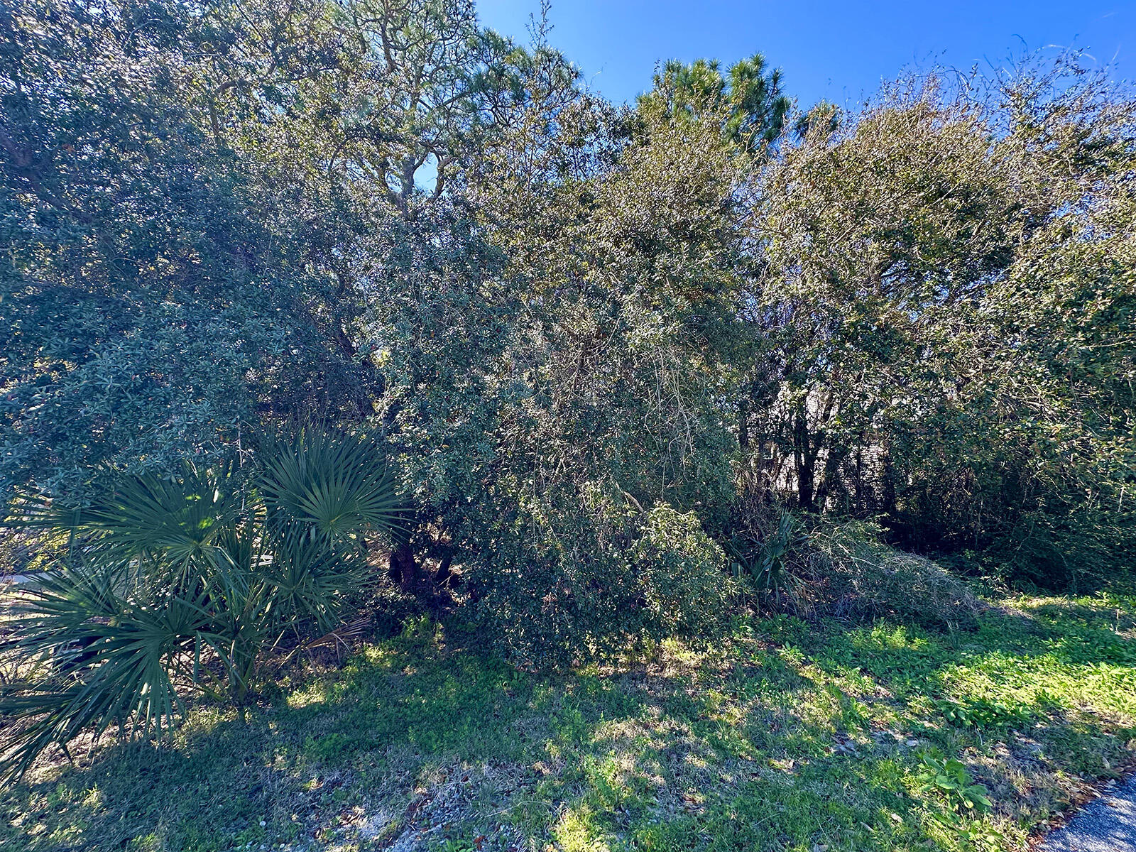 EMERALD POINTE PLAT 4 - Land