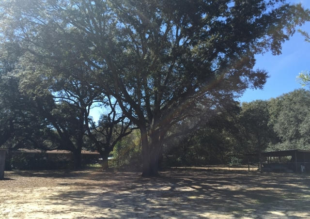 CERNY HEIGHTS - Residential