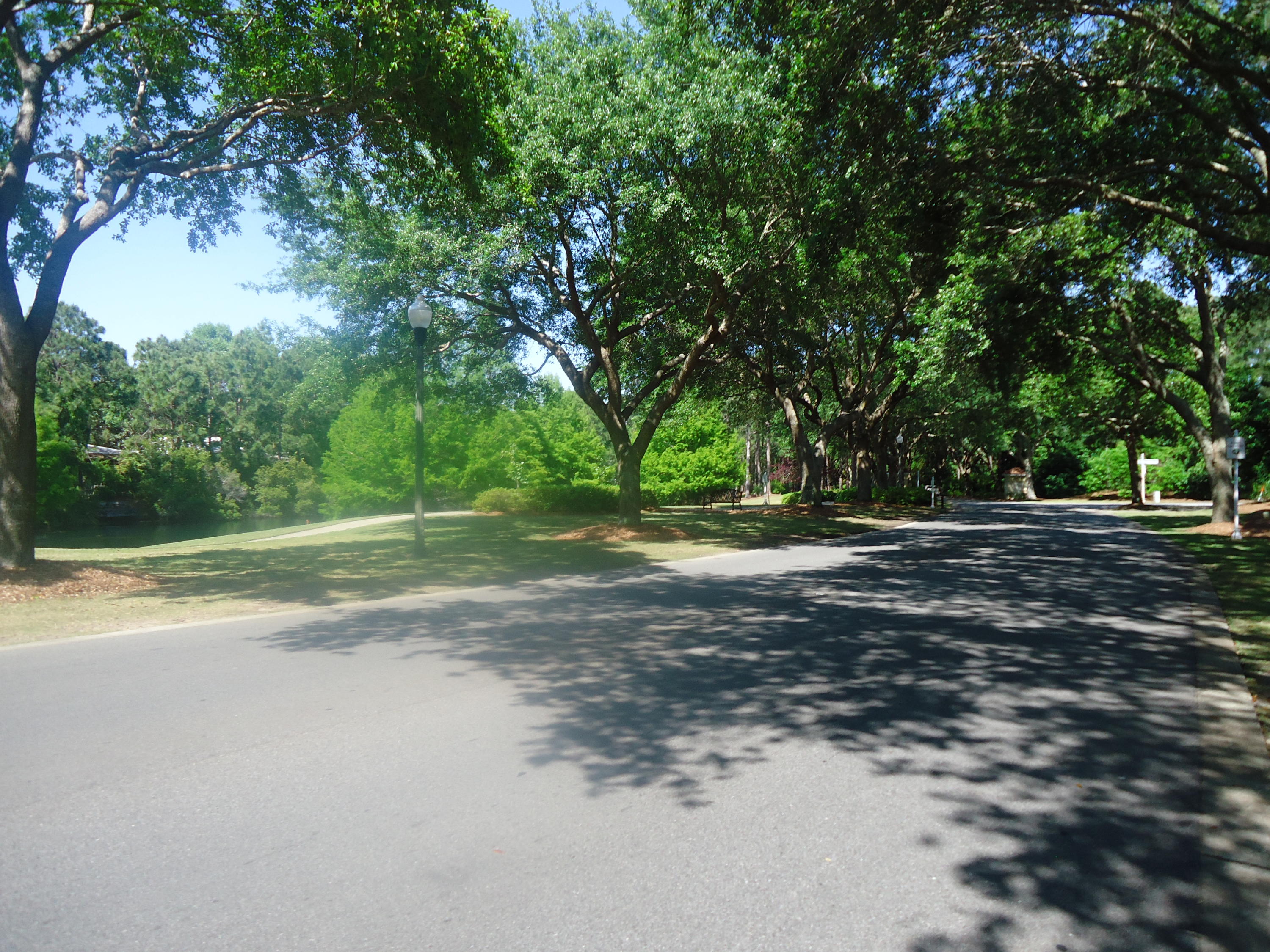 CRYSTAL COVE - Residential Lease