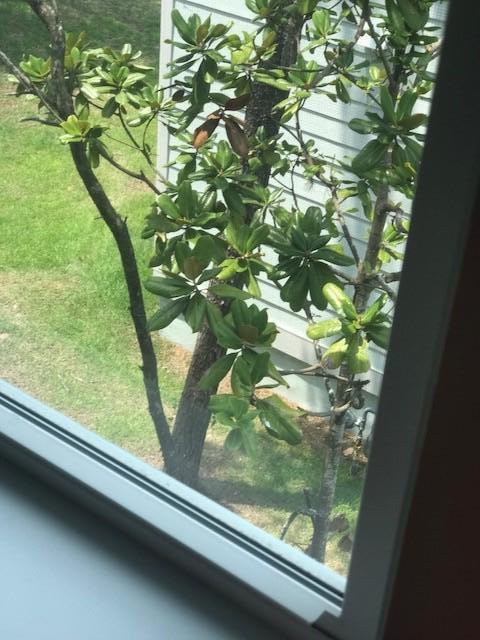 GRANDE POINTE AT INLET BEACH - Residential