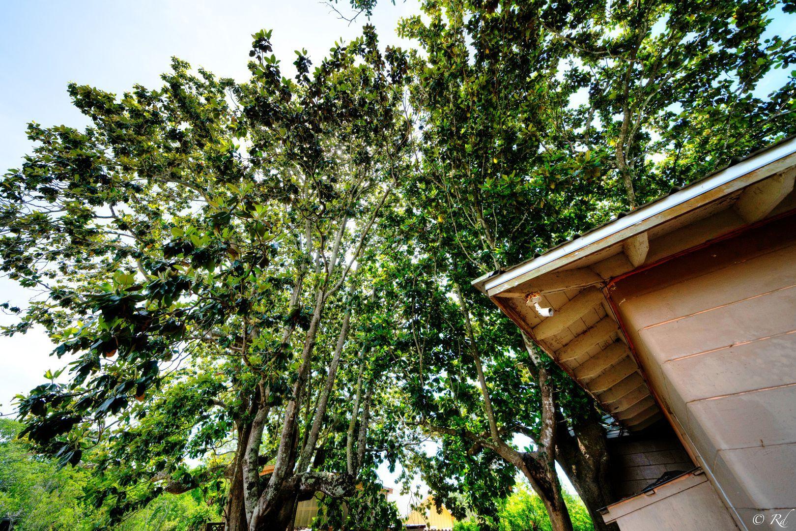 RIVIERA BEACH - Residential