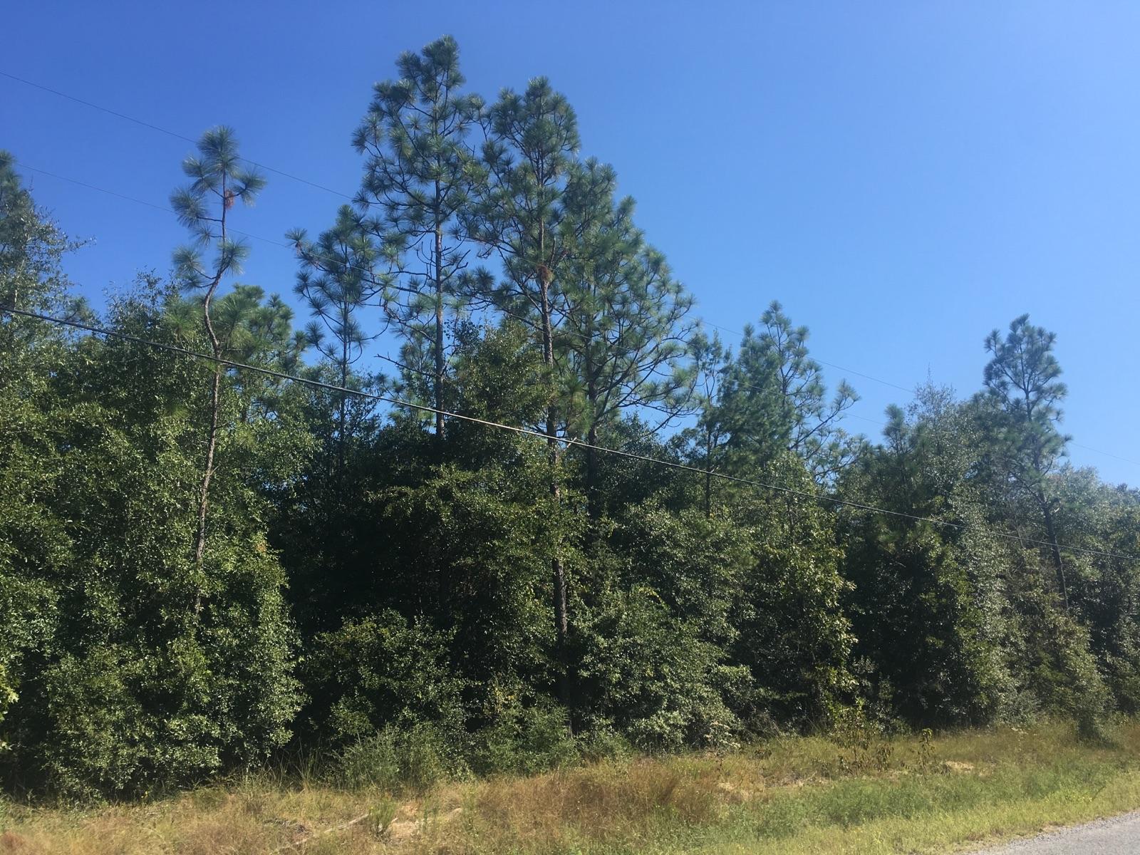 This site is perfect for your future home! Bring your home plans or even your mobile home and settle in this beautiful, quiet setting just north of town.