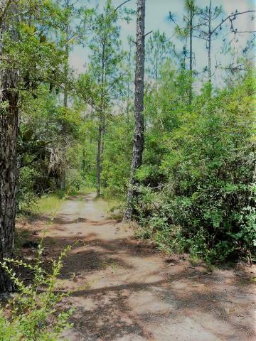 YELLOW RIVER PLANTATION - Residential