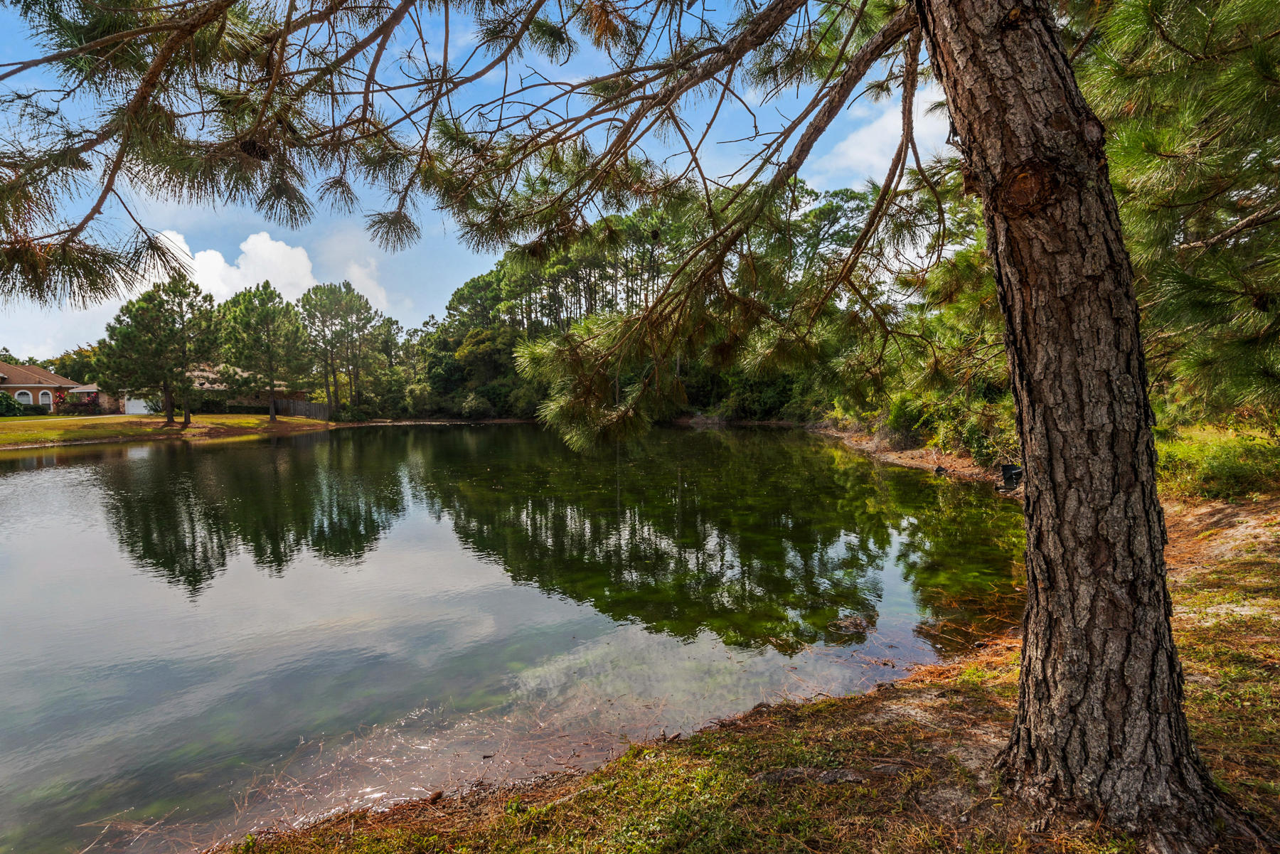 BAYSIDE - Residential