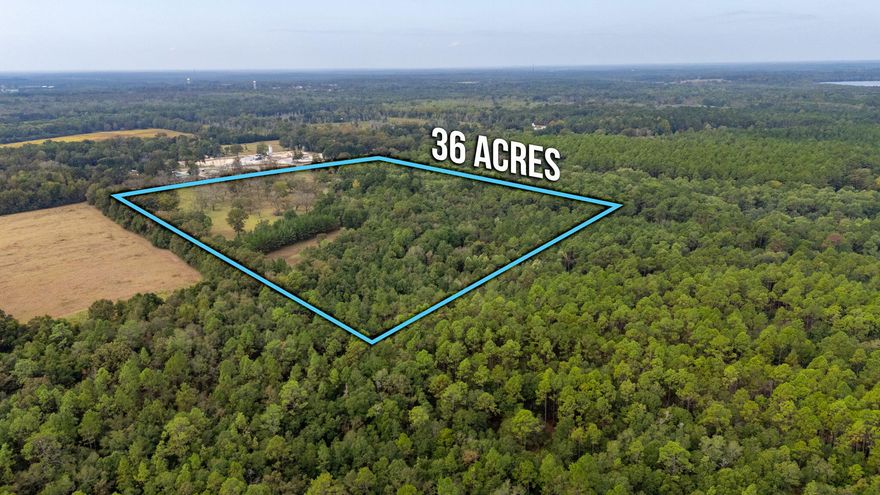 36-acres located inside the city limits of Florala, AL! This agricultural zoned land offers an established pecan orchard featuring over 80 mature trees, drive through the center of property, 9 plus acres of pasture, utilities include water, sewer, and power already in place. Property offers a pond, additional flowing water areas and an abundance of wildlife including turkey and deer that call this land home. Seller has already in place hunting lanes throughout the property to include a cleared pasture area to use for hunting or animals and livestock. The rear of the property is wooded to allow for privacy and hunting. This type of property is the piece you have been looking for to have a place to use as weekend getaway, make your own farm with hunting, or to build your dream home on!