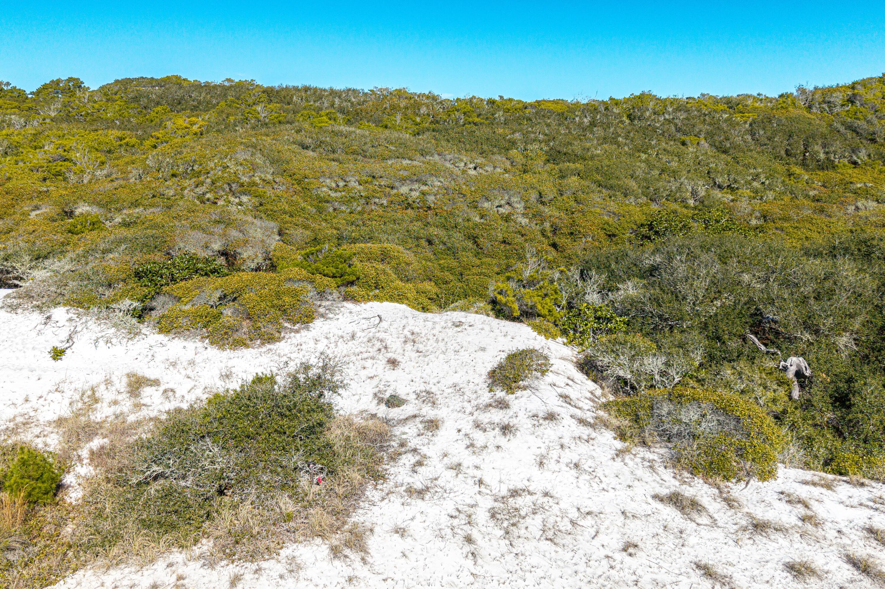 FOUR MILE VILLAGE - Land