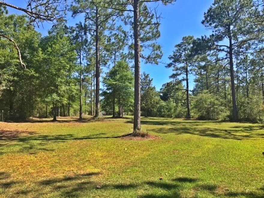 Gorgeous lakefront lot that is cleared and ready for you to build on! Beautiful trees including two magnolias and several sago palms! A lot of love has gone into this lot and it is ready for you to love it too! Lot is fenced and gated for your privacy and includes a dock and gazebo already in place! There are not many lots like this one and this is the only available one for you! City water is available. Manufactured homes are not allowed, so come build your dream home here!