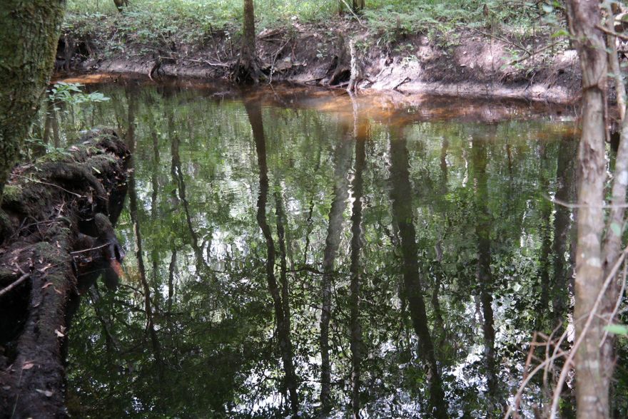 Motivated seller just reduced this beautiful 40 acre parcel located just over Walton County line with 2 driveways and possible home sites. At under $3,000/acre, this parcel features trails throughout the property. cypress pond towards NW corner and Reedy Creek flowing towards SW corner. Great for hunting or other outdoor recreation with deer, wild hog, turkey and more. Driveway access off two driveways along Cedar Ln. There are trails cut throughout the property. Property use is currently Timberland. This property is conveniently located within 40 minutes to either Panama City Beach or the Beaches of South Walton. No utilities currently on property. Electric, well and septic will be needed. You won't want to miss this one so schedule your showing today!