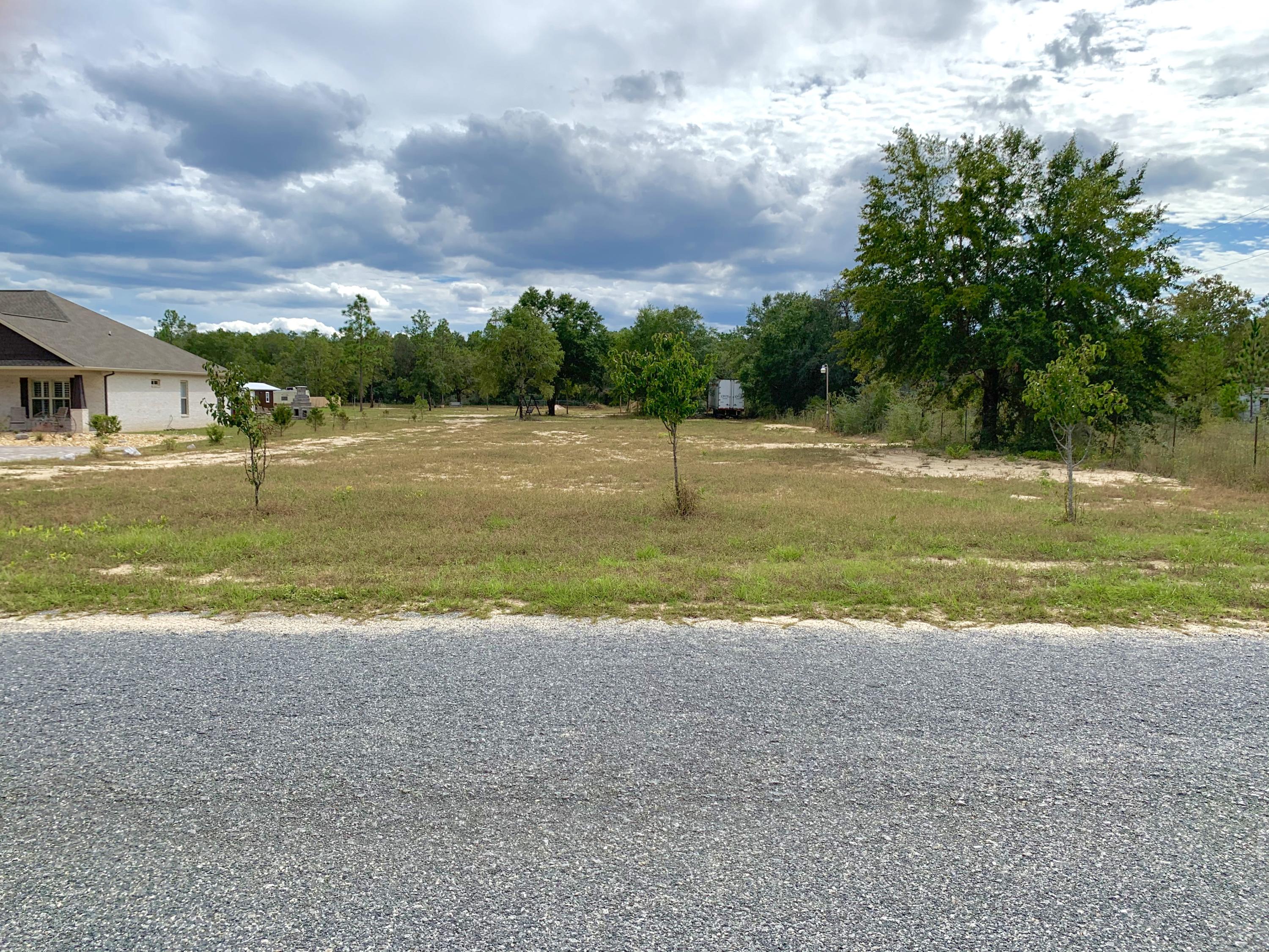 PAINTER BRANCH ESTATES - Land