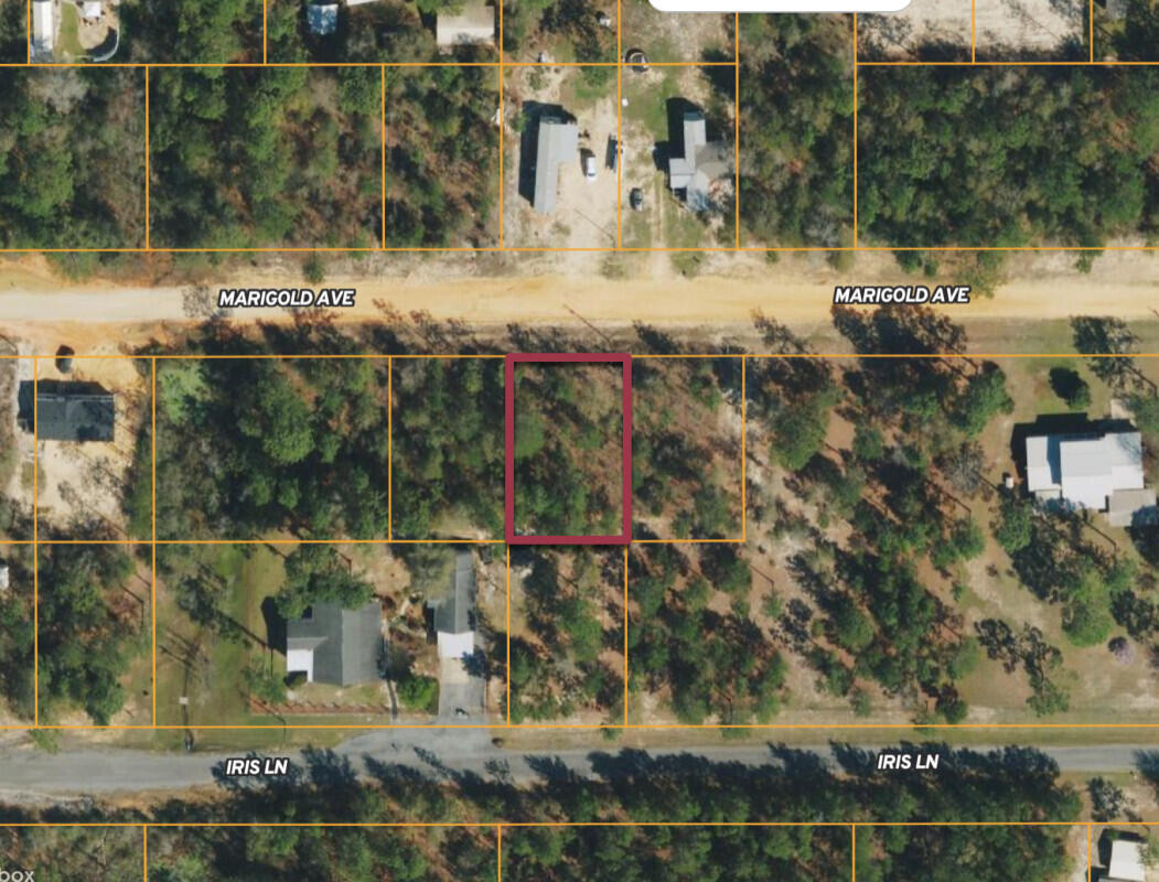 This 80x125  lot is just under 1/4 acre in growing Mossy Head area of Defuniak Springs. Property is located minutes from Blackstone Golf Course and I-10. Defuniak Springs & Crestview less than 20 minutes and apx. 40 minutes to Niceville & Eglin AFB. No utilities currently on the property but power on street. Public water is available (tap fee would need to be paid through Mossy Head Water Works). Septic would be required. Adjacent lot also available. Manufactured homes allowed!