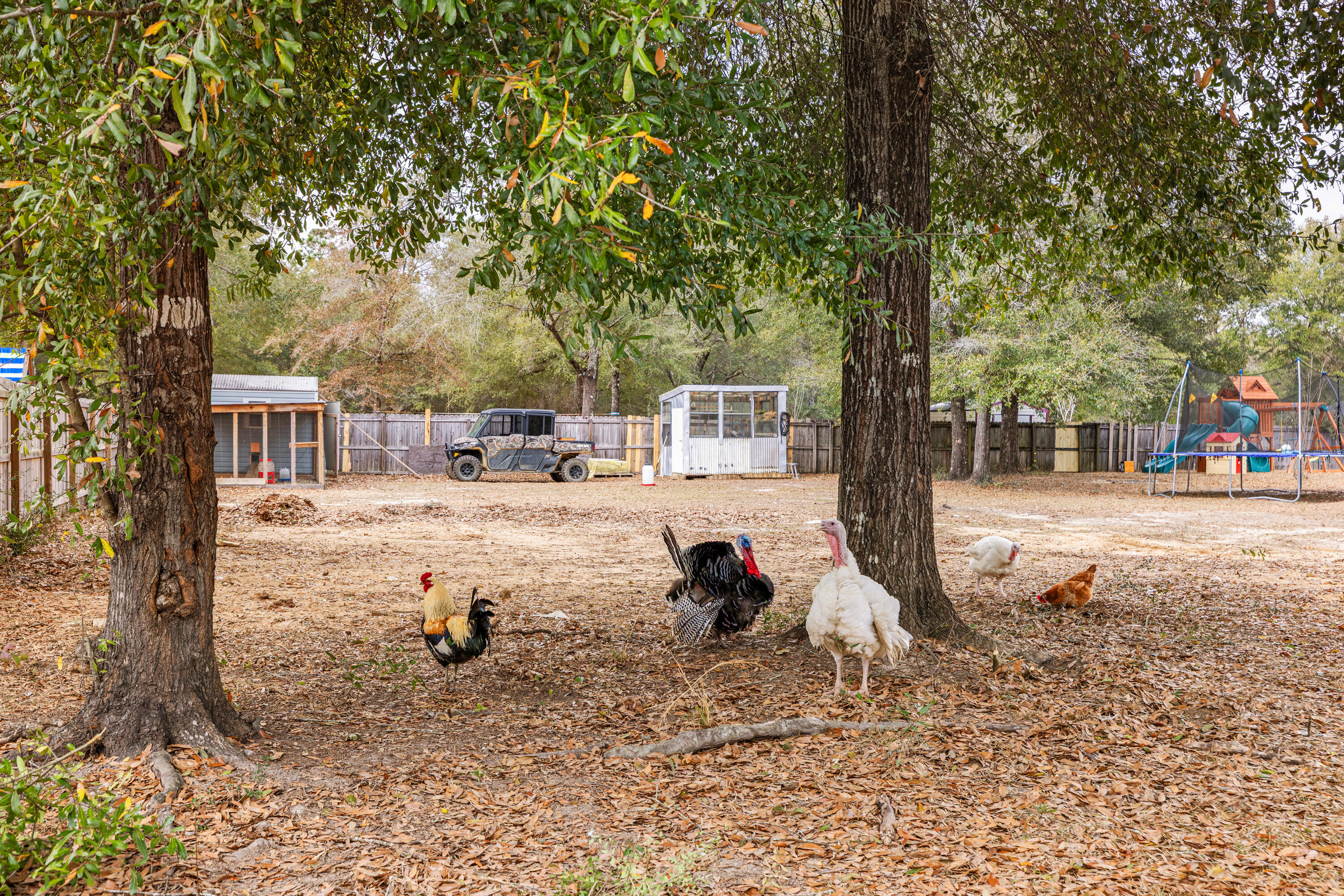 HIDDEN SPRINGS - Residential