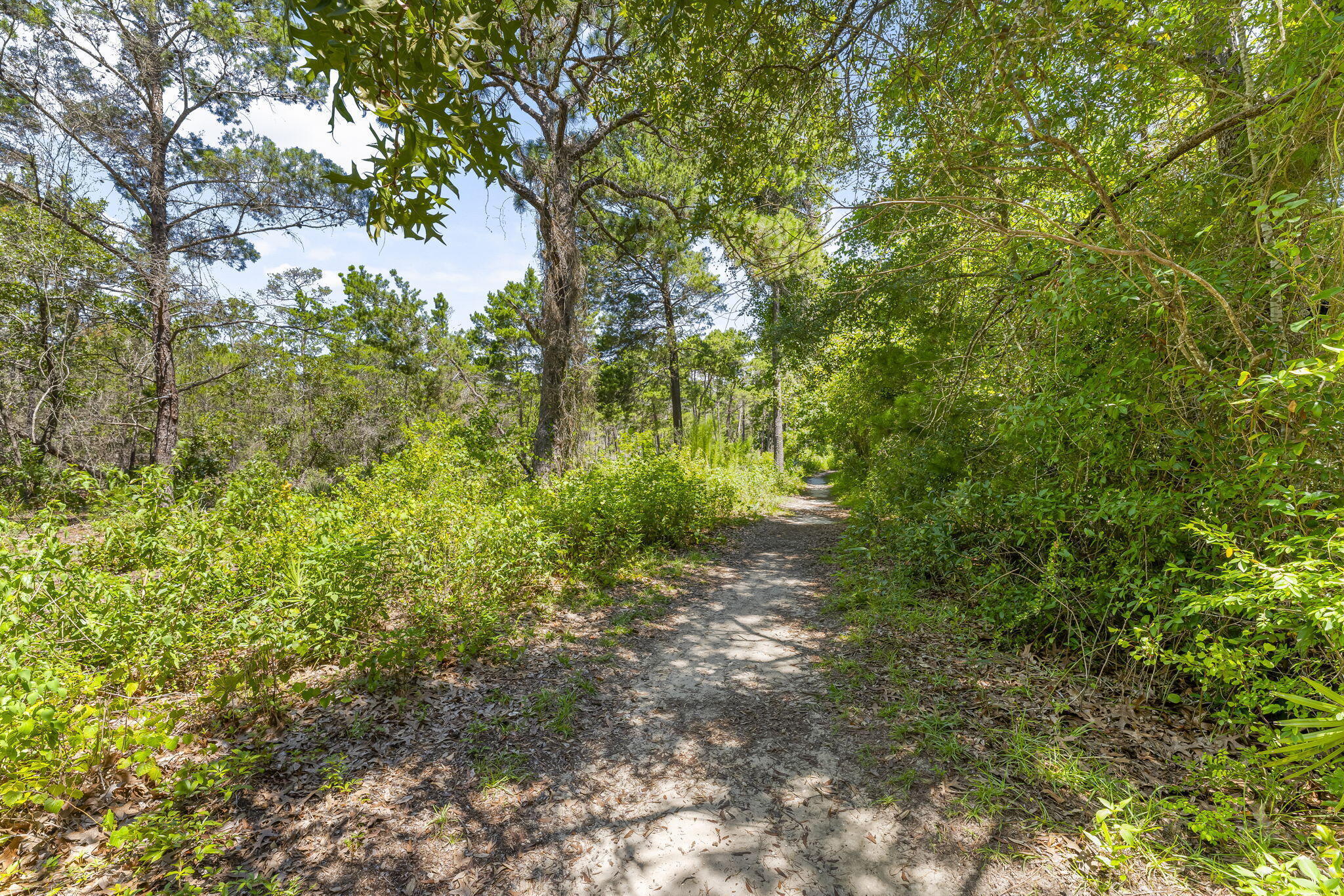 ESCADA - Residential Lease