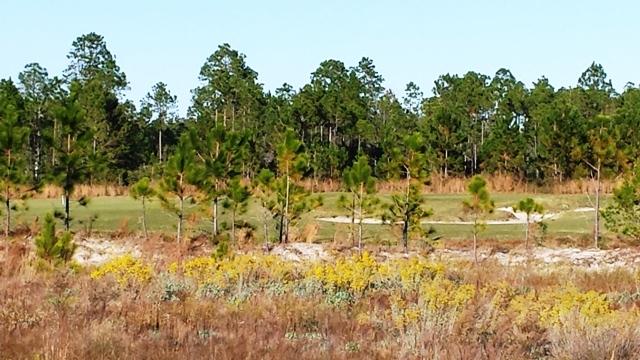 WINDSWEPT ESTATES - Land