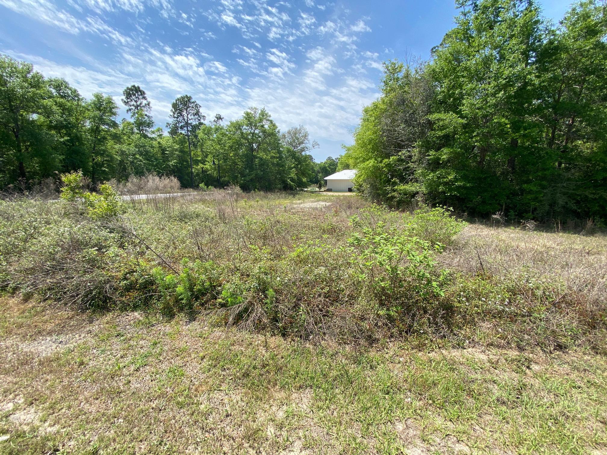 BEAR CREEK COTTAGES - Land