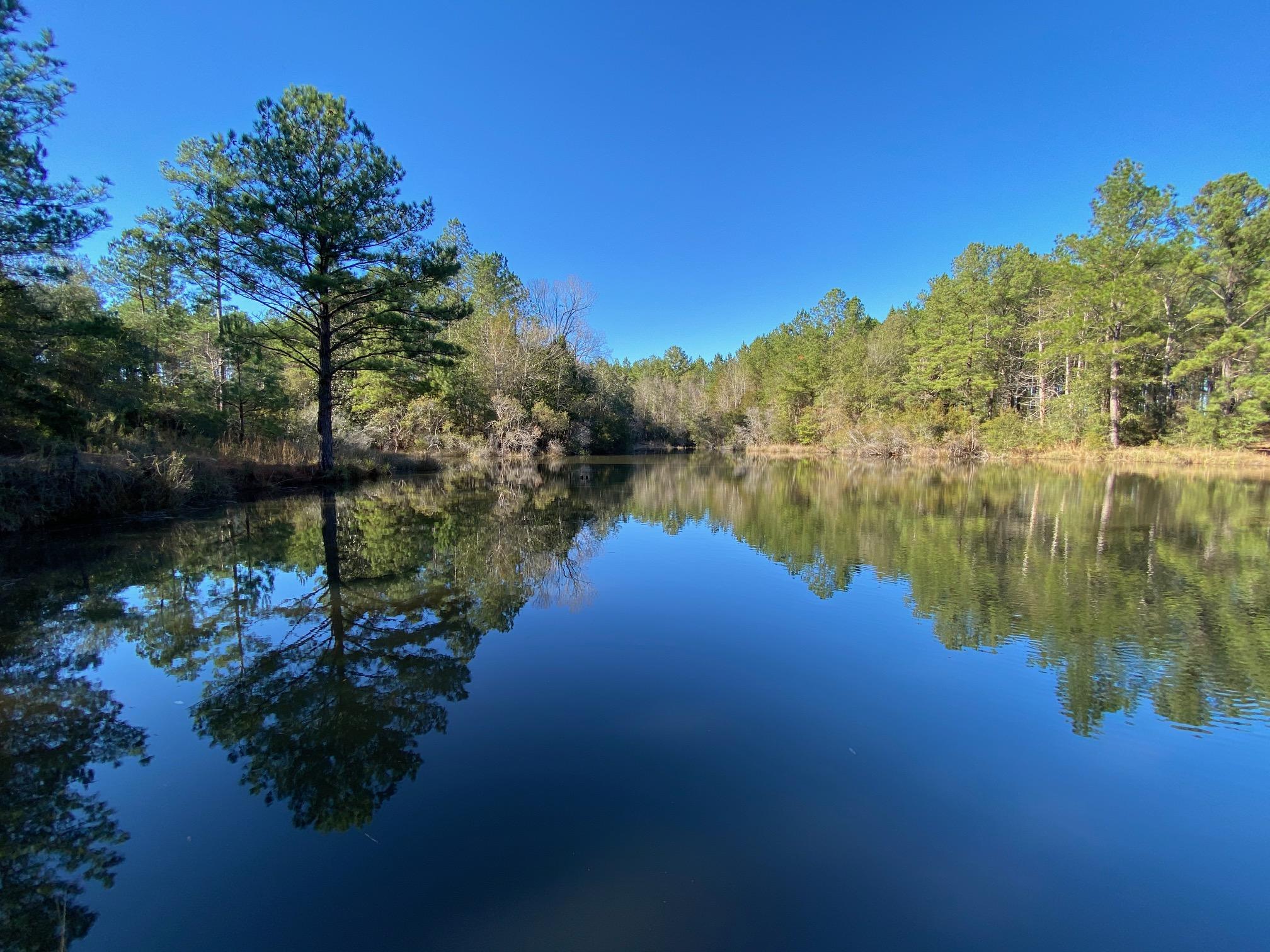 Dream location and destination for outdoor country living! Now bring Your floor plan to compliment the tranquil outdoors and sounds of nature. This almost 17 Acre lot has both clearing and tall mature pines, making choices for placing a foundation all to the desires of the Owner. Located on the property is a pond that presents options for both recreation and relaxation. Make plans to come view this beautiful location while it is still available. Paved Road, Power available and Adjoins Blackwater Forest ! Call for an appointment 850-398-8898.