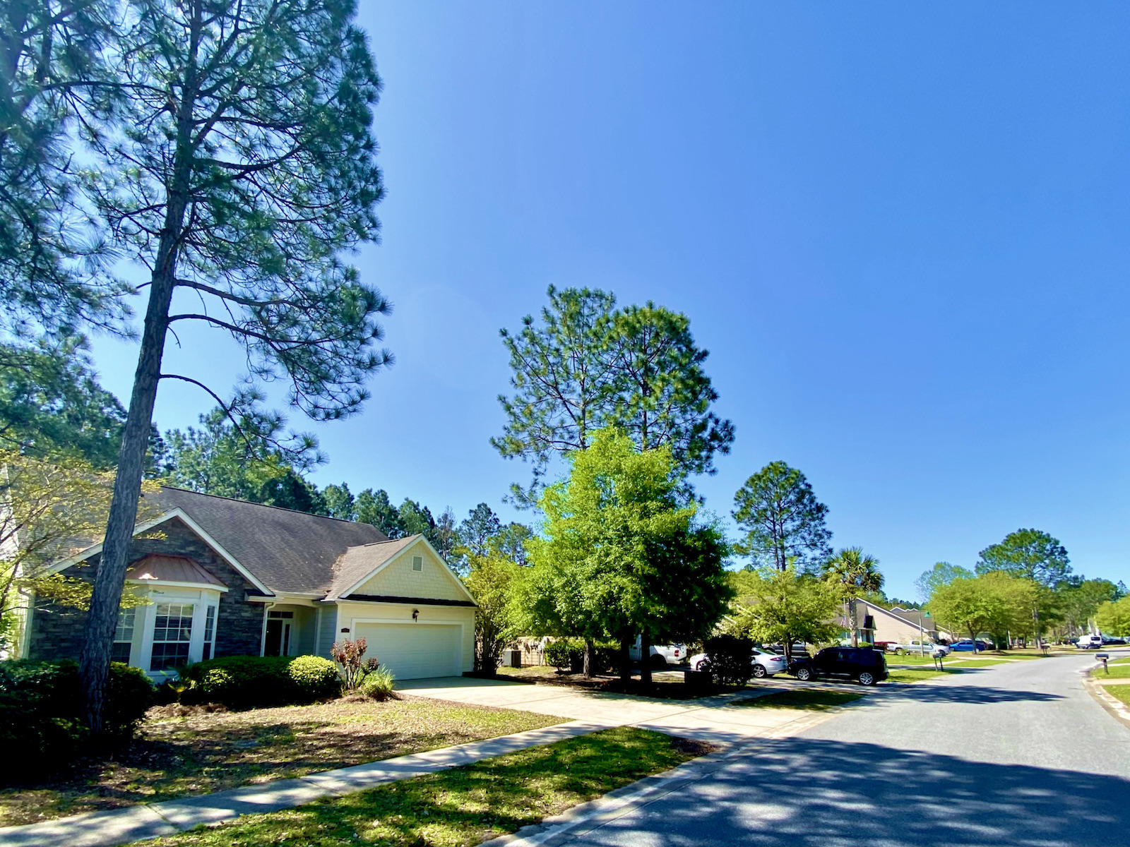 HAMMOCK BAY - Residential