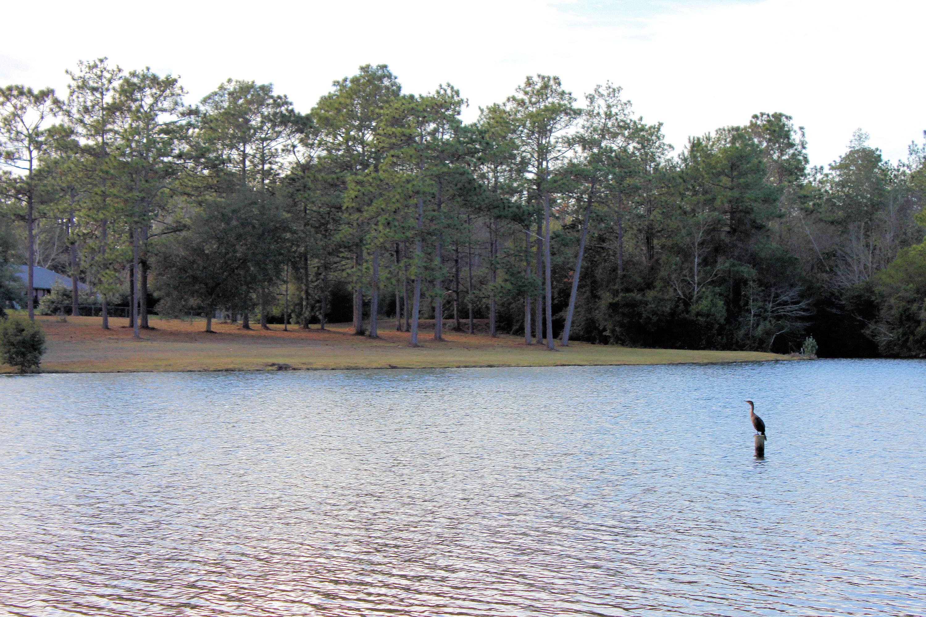 GRANDVIEW HEIGHTS - Land