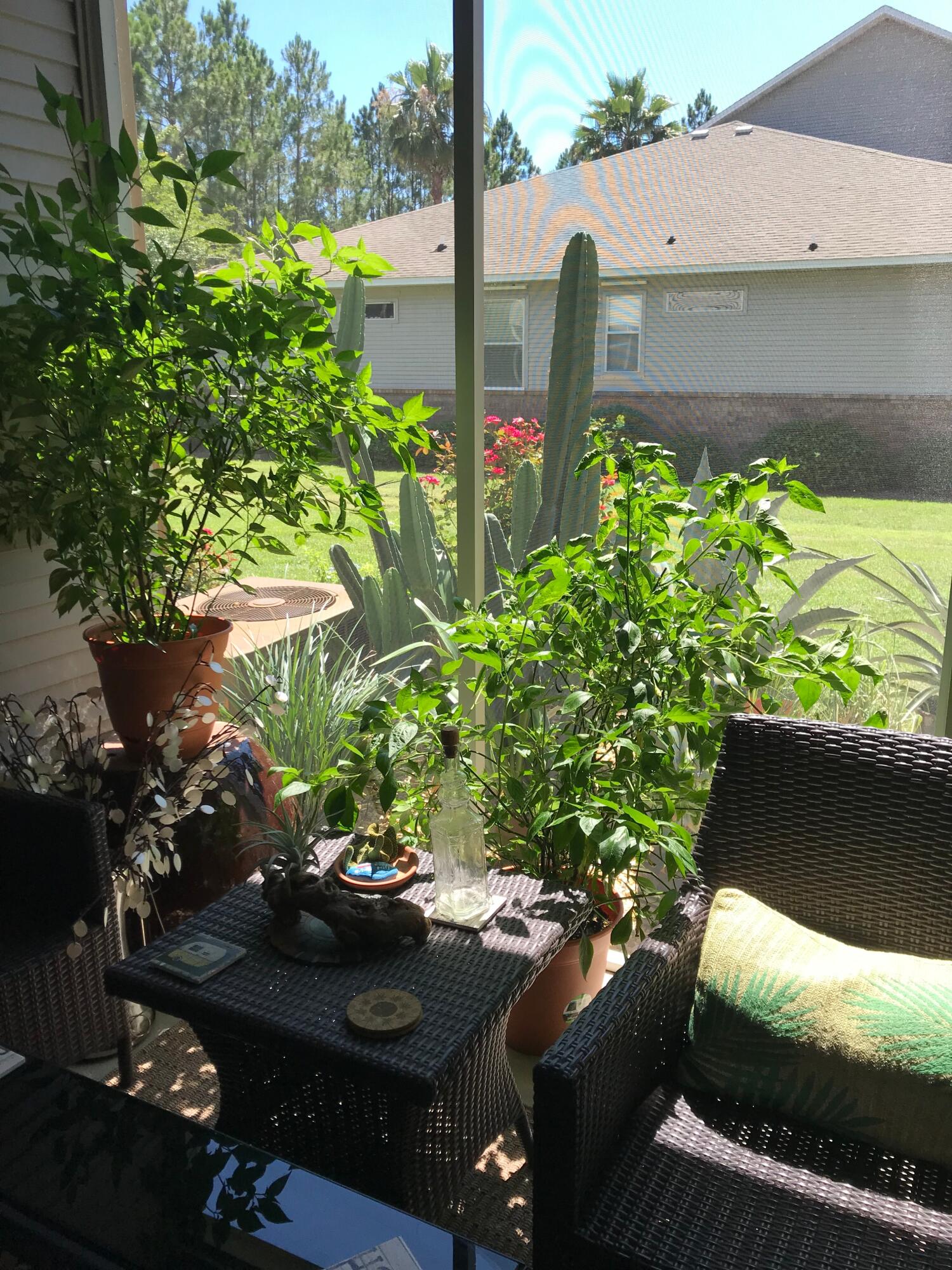 ESCADA - Residential