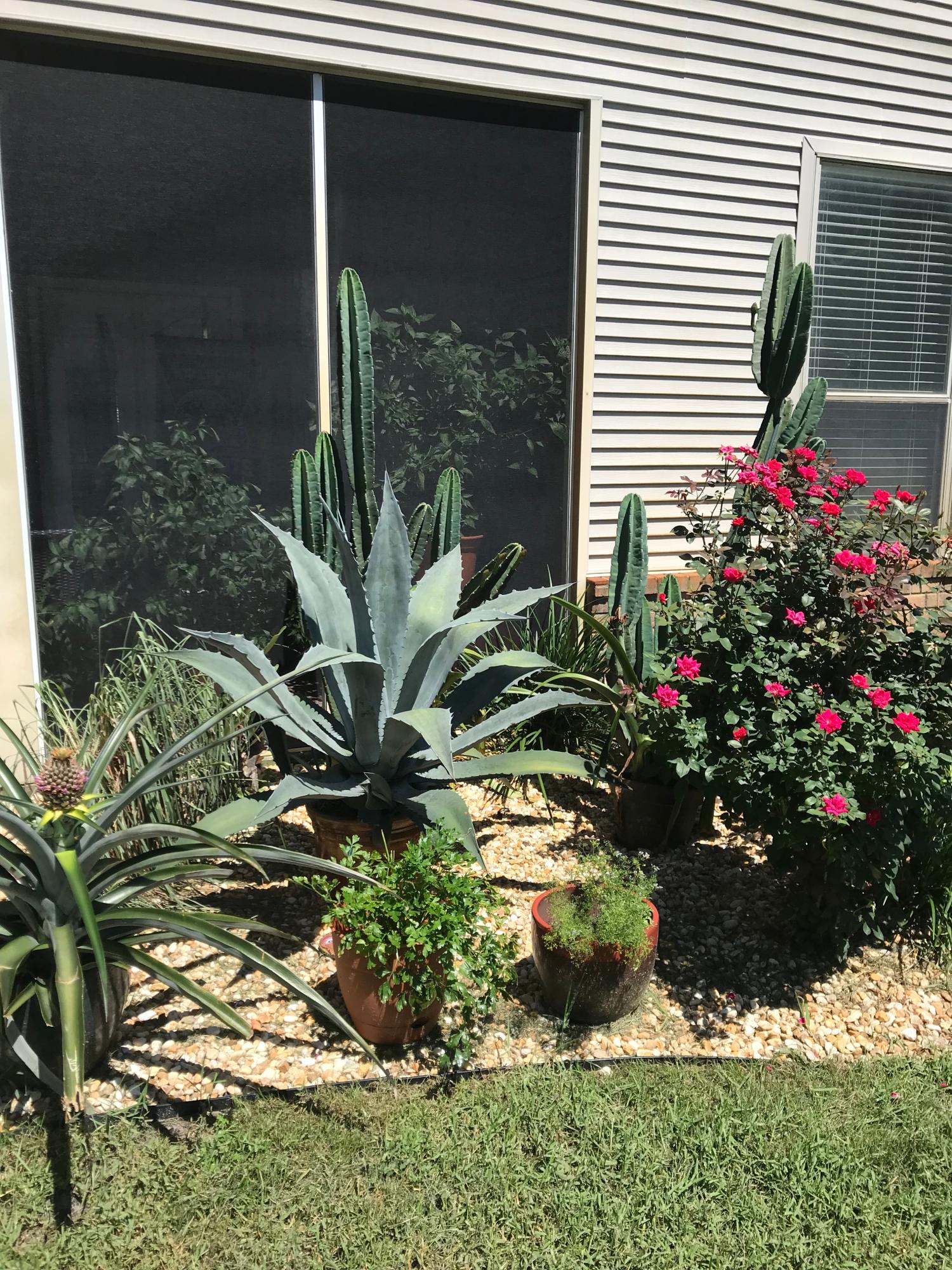 ESCADA - Residential