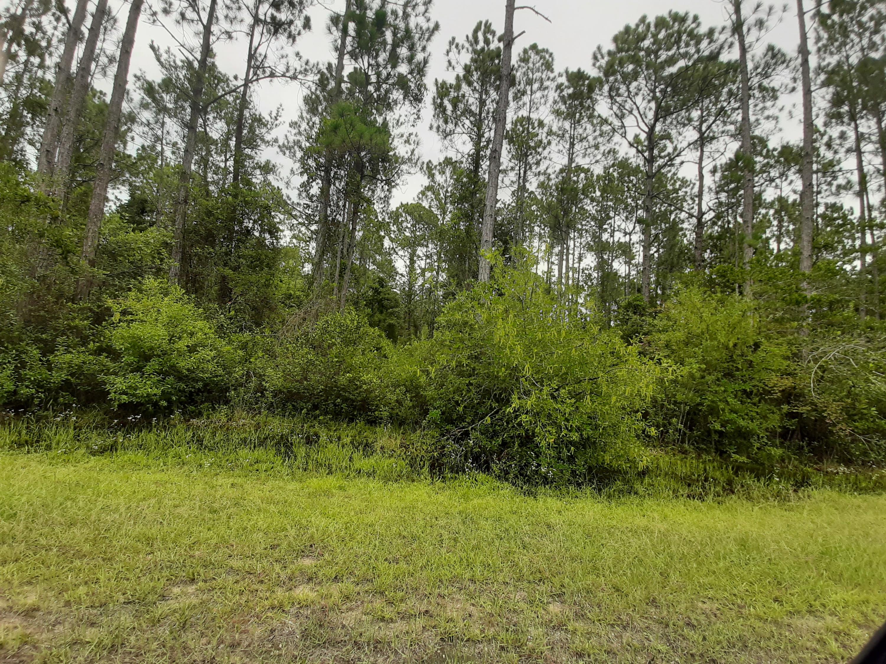 2 Lots totaling 2.34 Wooded Acres just off of Bay Loop. Corner acreage made up of 2- 1.17 acre lots. Build your dream home in this quiet Country setting. City Water available.