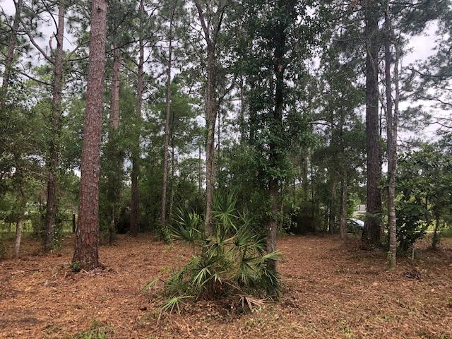 BLACKWATER BAY - Land