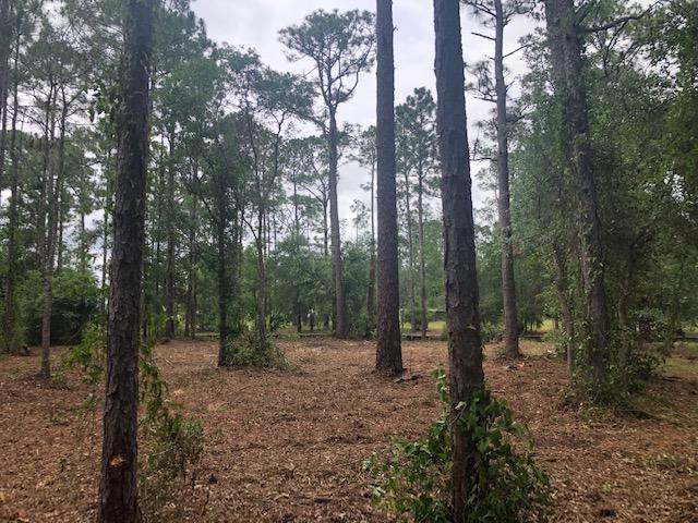 BLACKWATER BAY - Land