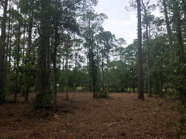 BLACKWATER BAY - Land