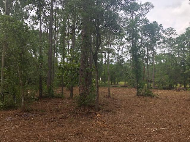 BLACKWATER BAY - Land