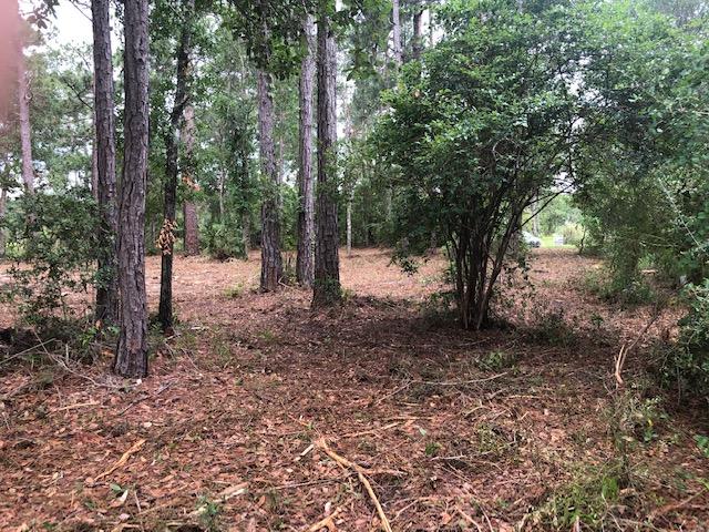 BLACKWATER BAY - Land