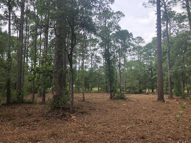 BLACKWATER BAY - Land