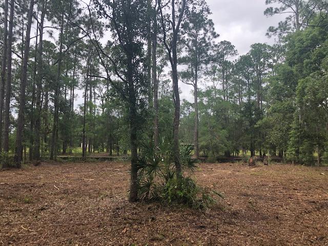 BLACKWATER BAY - Land